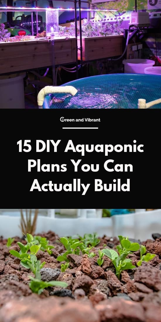 15 DIY Aquaponic Plans You Can Actually Build