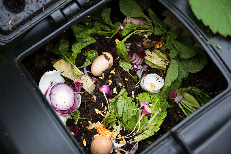 10 Best Indoor Compost Bins The Kitchen Storage Composting