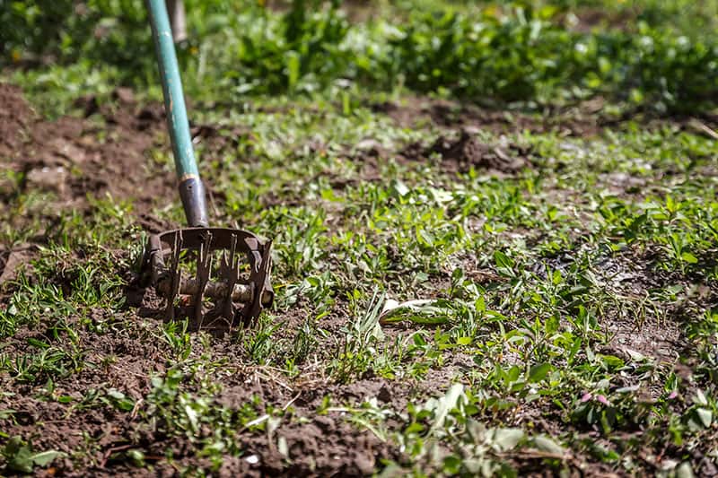 5 Best Hand Tillers For Your Garden Buying Guide Reviews