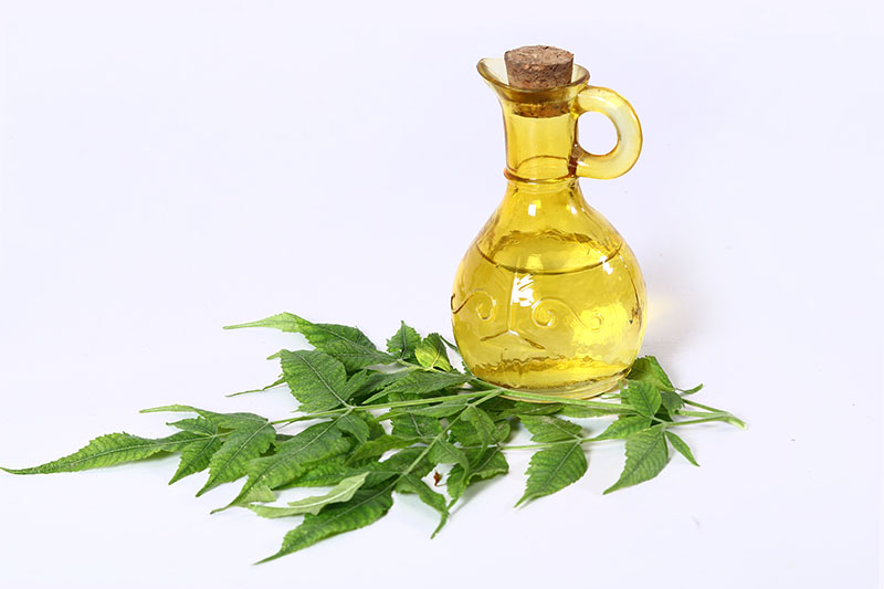 What Are The Benefits Of Neem Oil For Beard, Hair andamp; Skin that You Need to Know