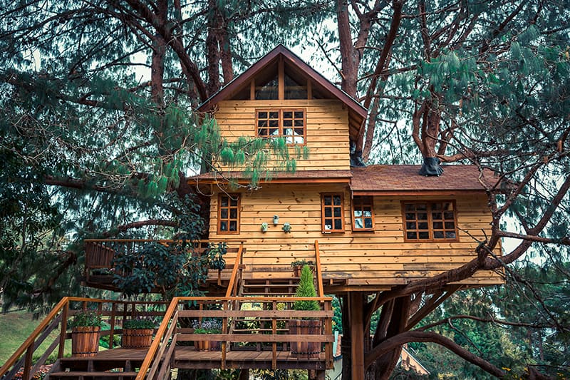 13 Simple Treehouse Ideas You Can Build For Your Kids This 