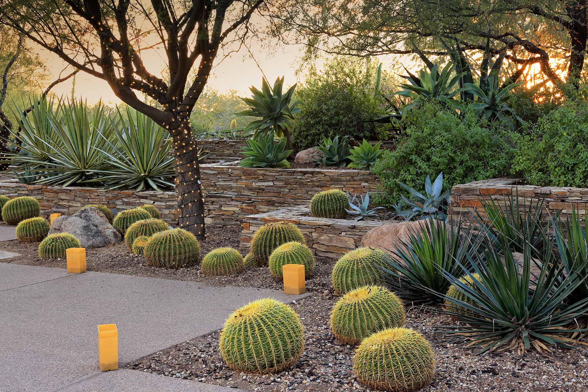 15 Amazing Desert Landscaping Ideas | Green and Vibrant