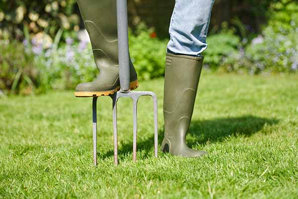 What Is Lawn Aeration When And How To Do It Green And Vibrant,Chow Chow Relish Kroger