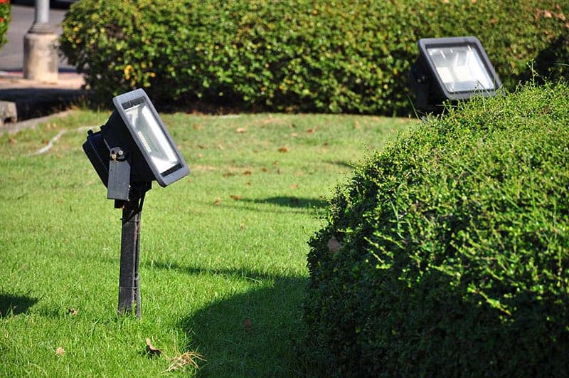 25 Best Backyard Landscaping Lighting Ideas Green And Vibrant