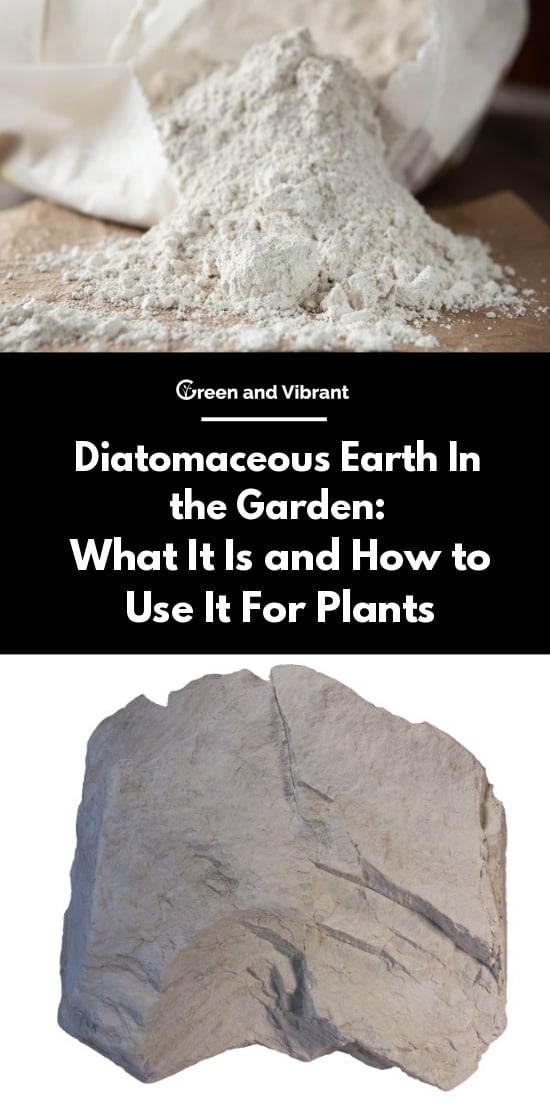 Diatomaceous Earth In The Garden What It Is And How To Use It For