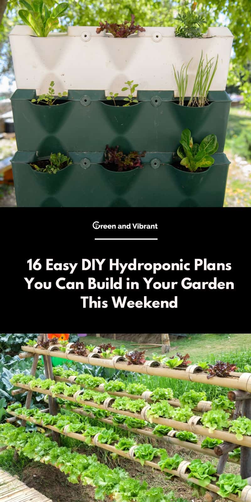 16 Easy Diy Hydroponic Plans You Can Build In Your Garden This