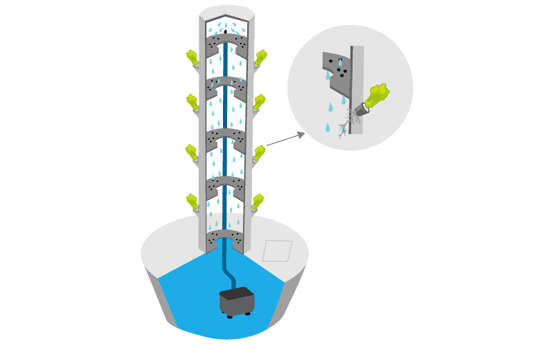 Vertical Hydroponics A Basic Introduction Green And Vibrant