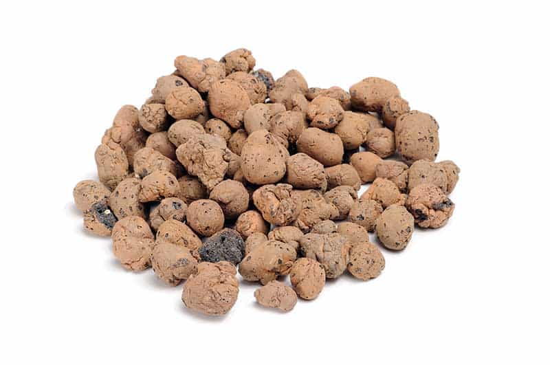 Expanded Clay Pellets (Hydroton)