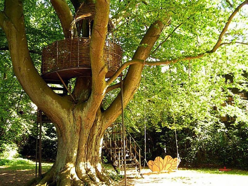 General Treehouse Instructions And Tips by Treehousebuilding