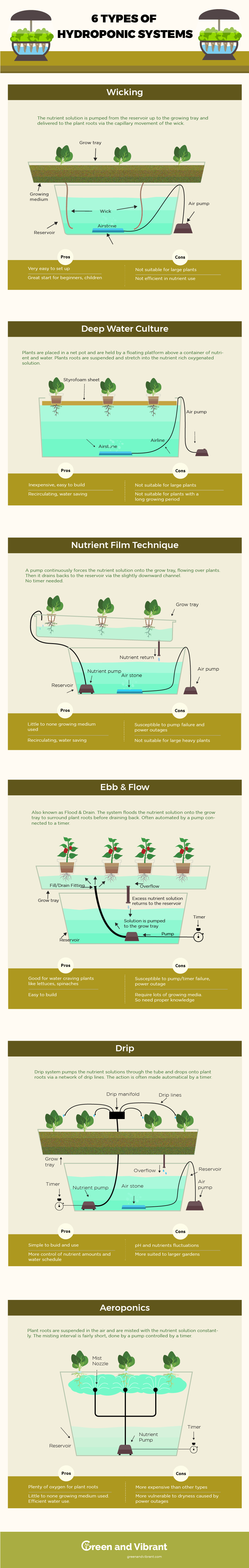 Hydroponic System Infographic