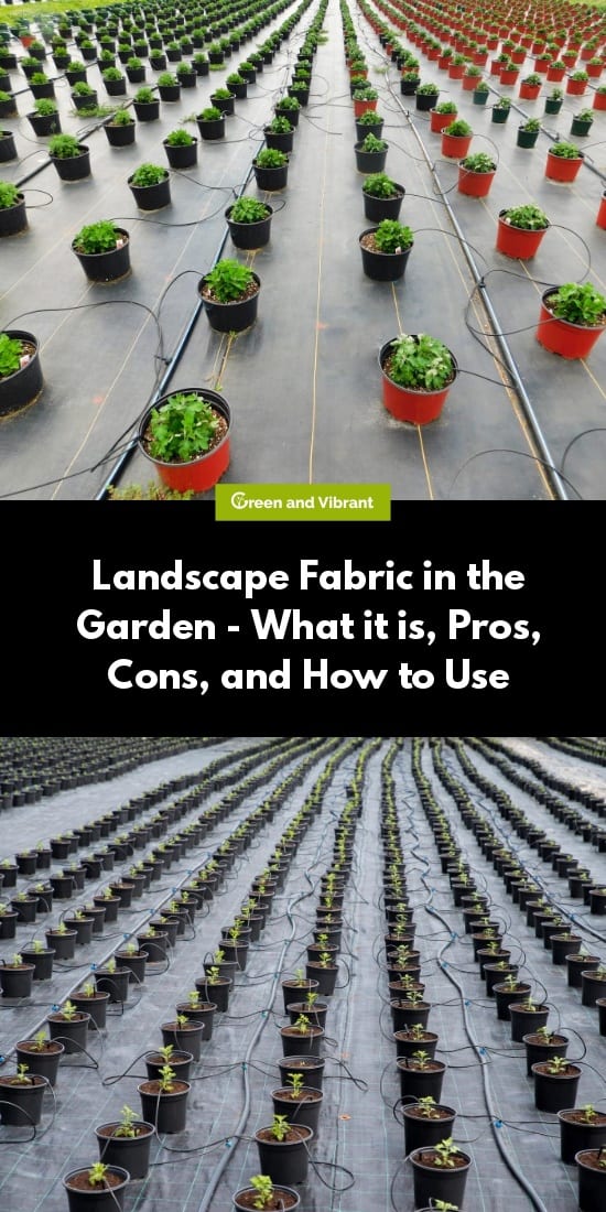 Landscape Fabric in the Garden - What it is, Pros, Cons, and How to Use