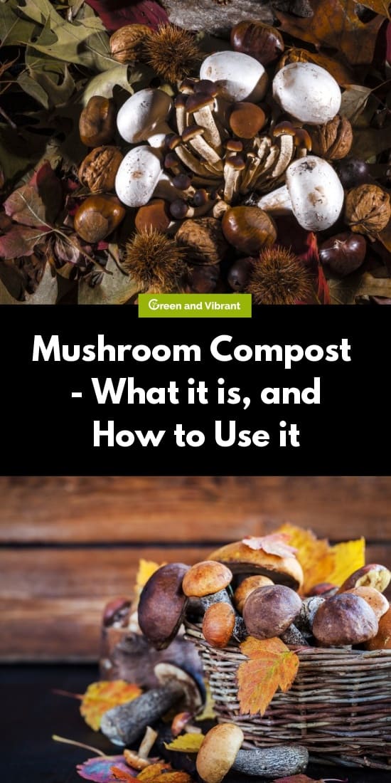 Mushroom Compost - What it is, and How to Use it