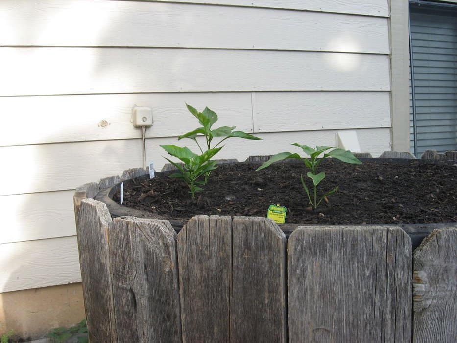 Stacked Up “Advanced” Old Tire Raised Bed