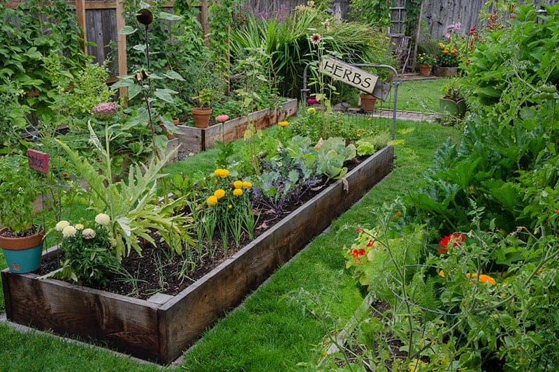 Classic wooden raised bed