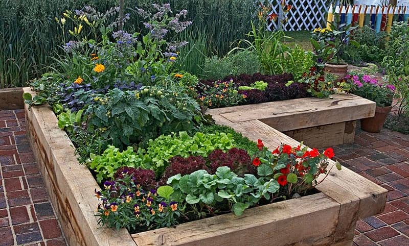 L-Shaped Wooden Raised Bed