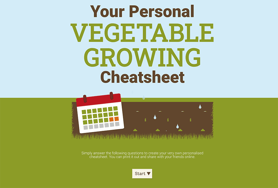 Anglian Home- Vegetable Growing Cheatsheet