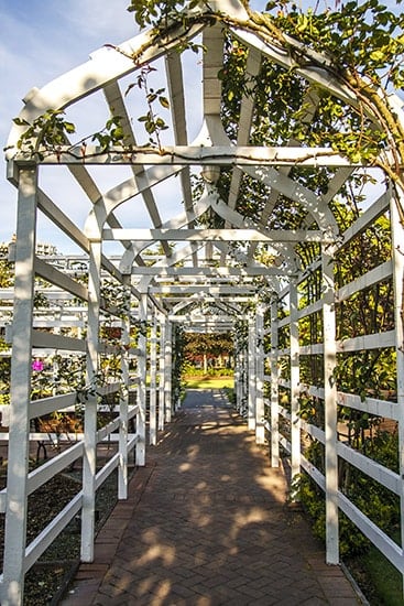 White Arched Wooden Trellis