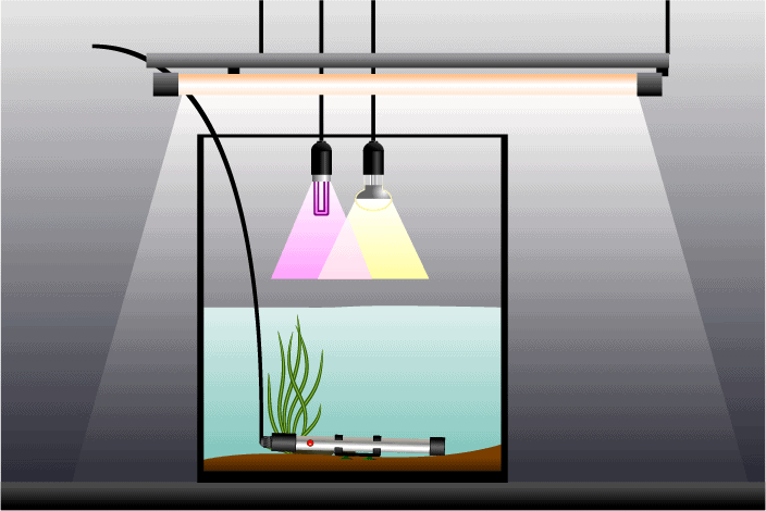 Heater in a high and narrow aquarium