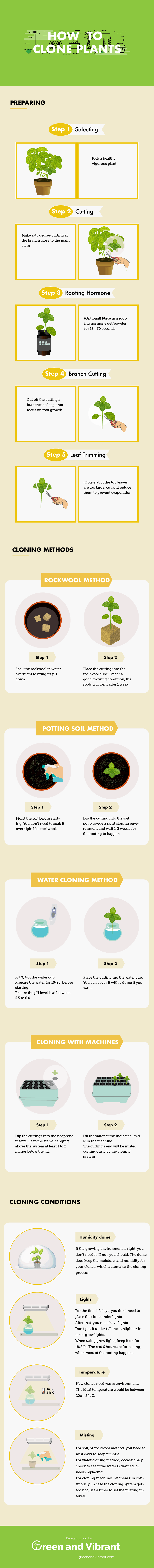 how to clone plants infographic