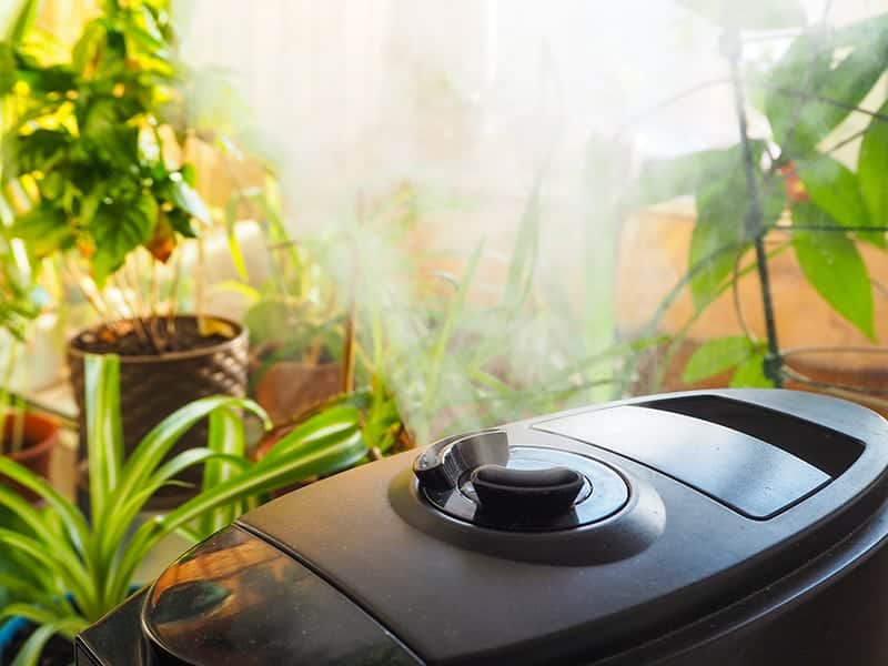 Humidifiers for grow rooms and grow tents