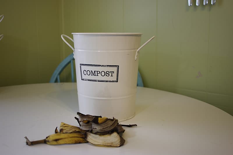 Indoor Compost Bin