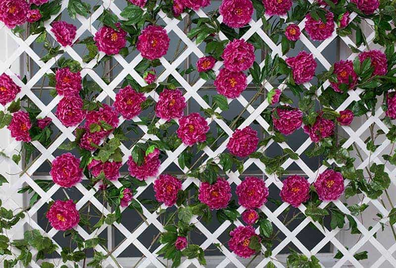 Flowering Fence