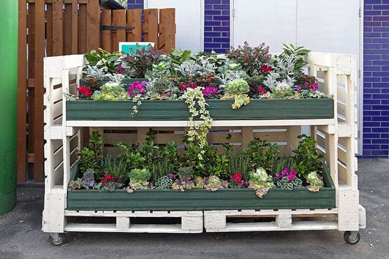 Mobile Pallet Flower Shelf