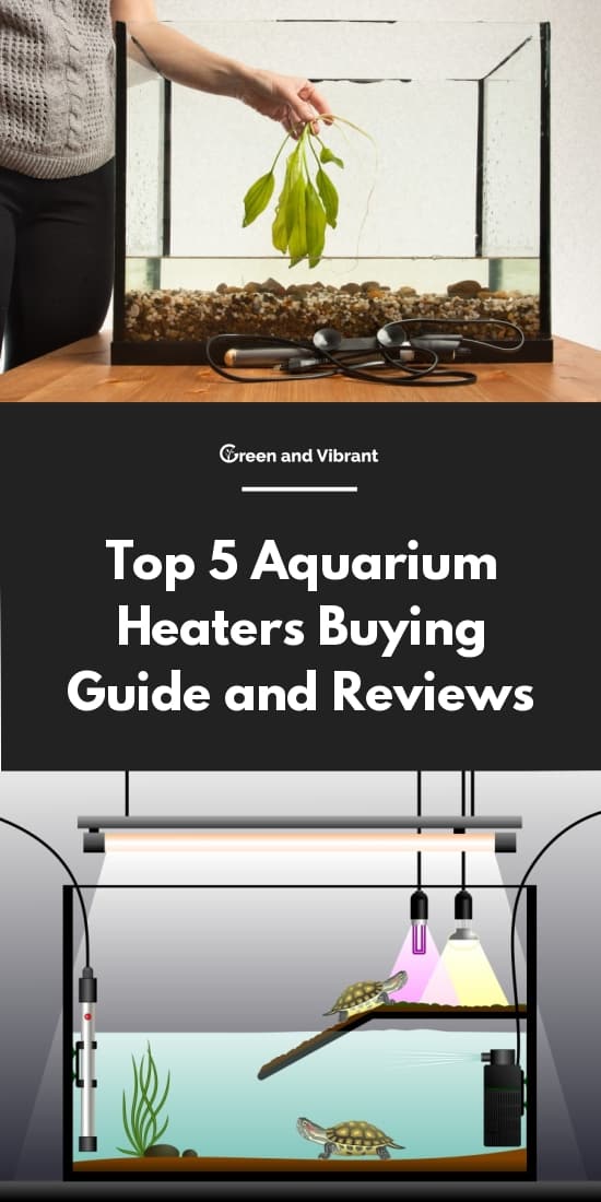 Top 5 Aquarium Heaters Buying Guide and Reviews