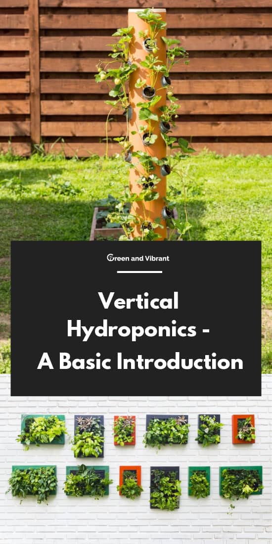 Vertical Hydroponics - A Basic Introduction