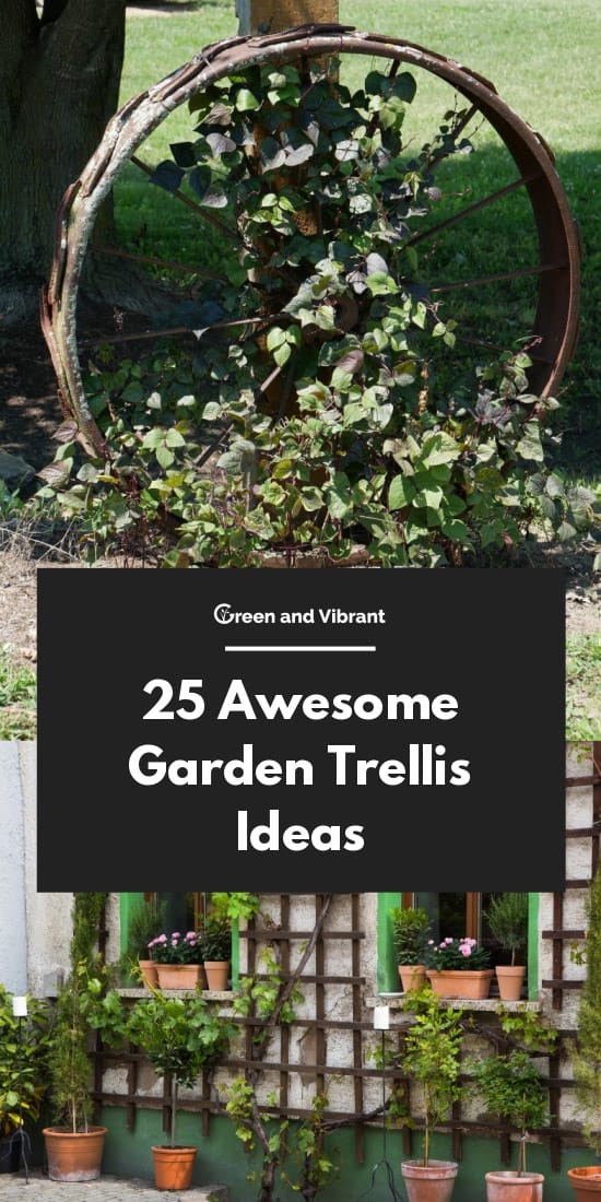 Awesome Garden Trellis Ideas