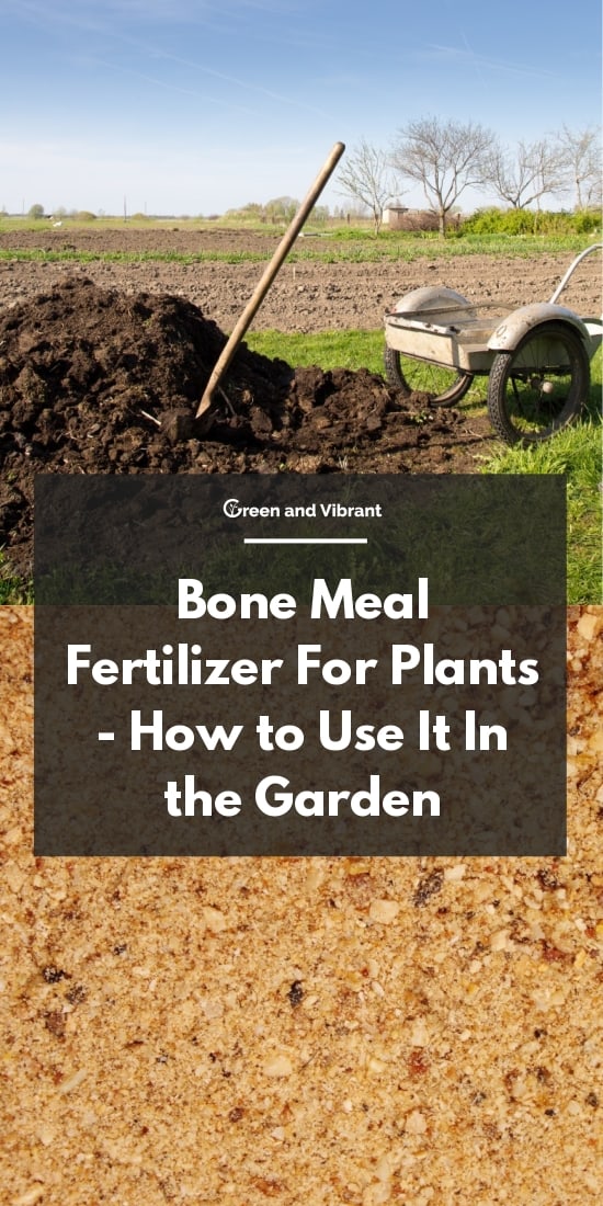 Bone Meal Fertilizer For Plants - How to Use It In the Garden