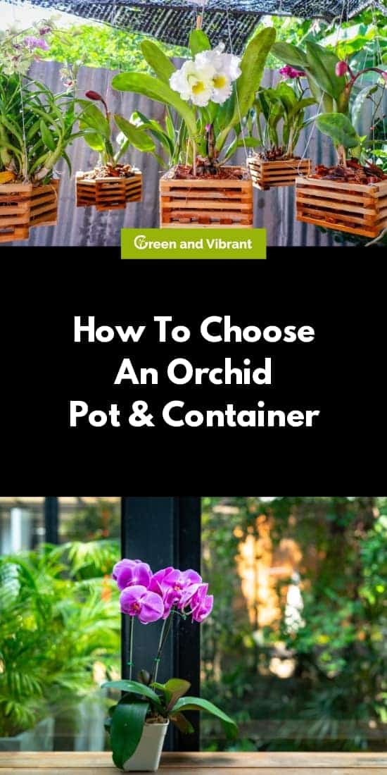 How To Choose An Orchid Pot And Container