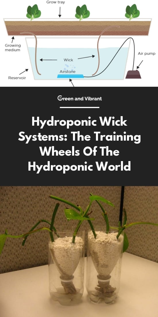 Hydroponic Wick Systems: The Training Wheels Of The Hydroponic World