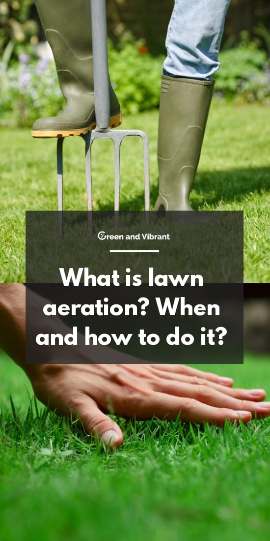 What is lawn aeration? When and how to do it?