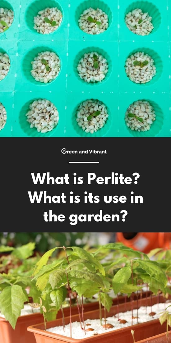 What is Perlite? What is its use in the garden?