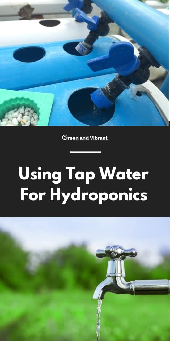 Using Tap Water For Hydroponics
