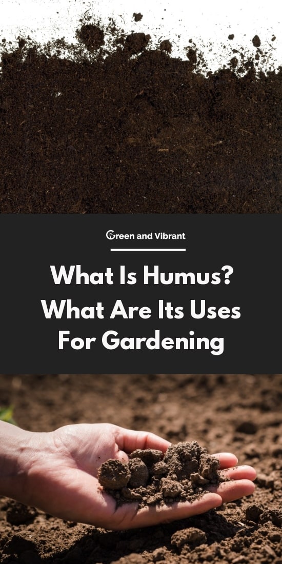 What Is Humus? What Are Its Uses For Gardening