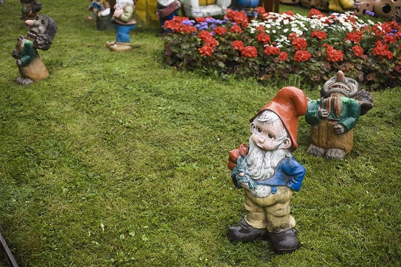 Some types of garden gnomes on a lawn
