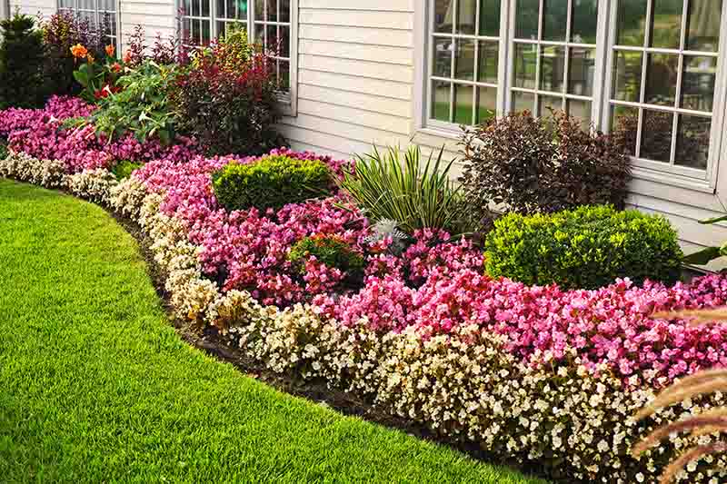 Visual appeal of lawn edging
